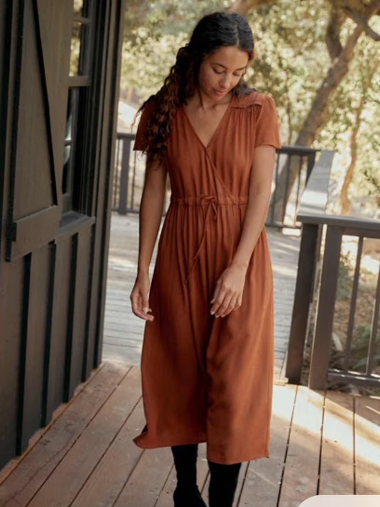 Dresses & Skirts - Christy Dawn Dawn dress in Rust size XL